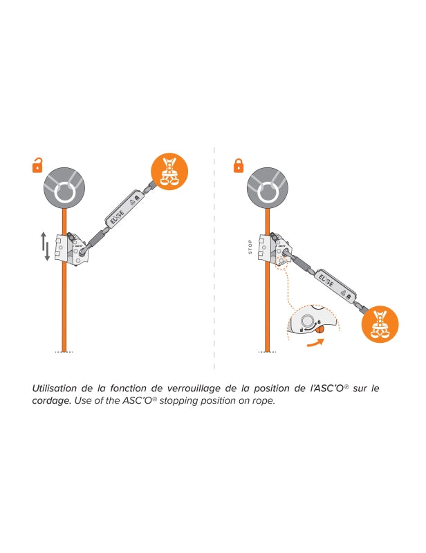 Neofeu ASC'O – – Тепер доступний у MTN Shop DE.