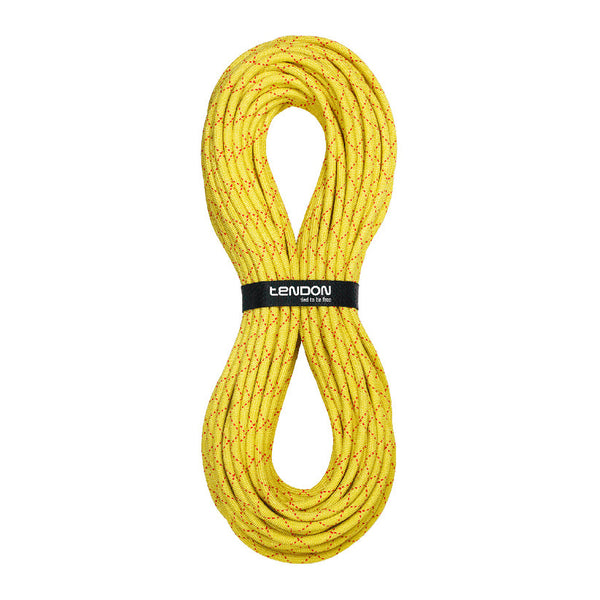 Tendon Canyon Rope 10.2 Salamander – – Тепер доступний у MTN Shop DE.