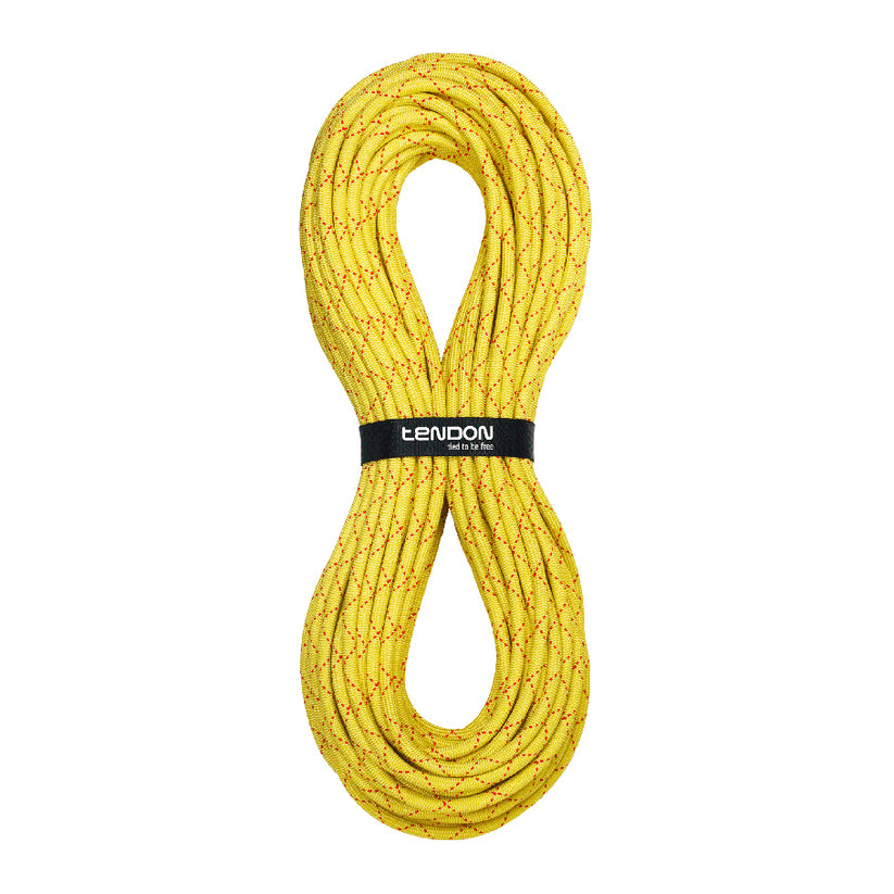 Tendon Canyonseil 10.2 Salamander – – Jetzt erhältlich im MTN Shop DE.