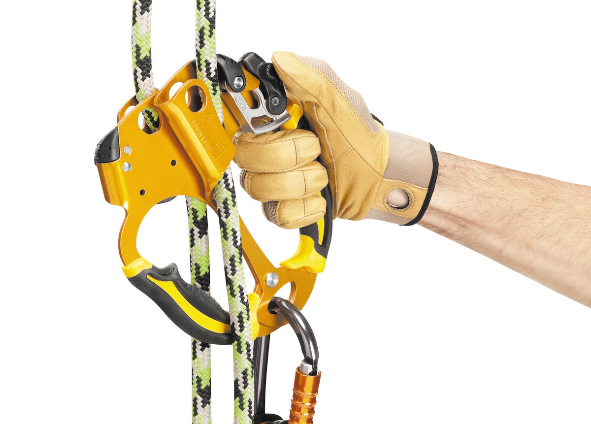 Petzl ASCENTREE – – Тепер доступний у MTN Shop DE.