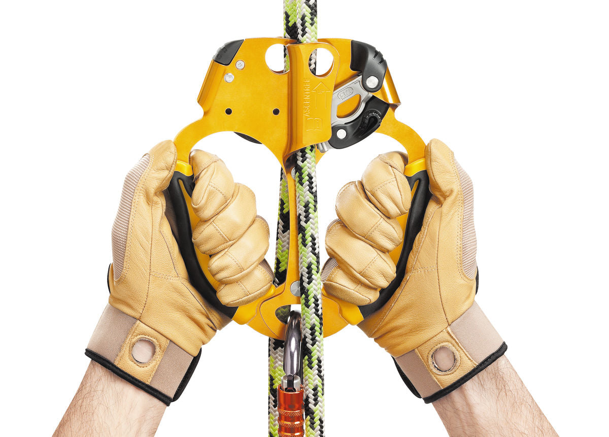 Petzl ASCENTREE – – Тепер доступний у MTN Shop DE.