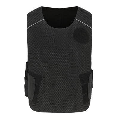 Бронежилет Armadillo Tex Phoenix Classic – zweites Bild