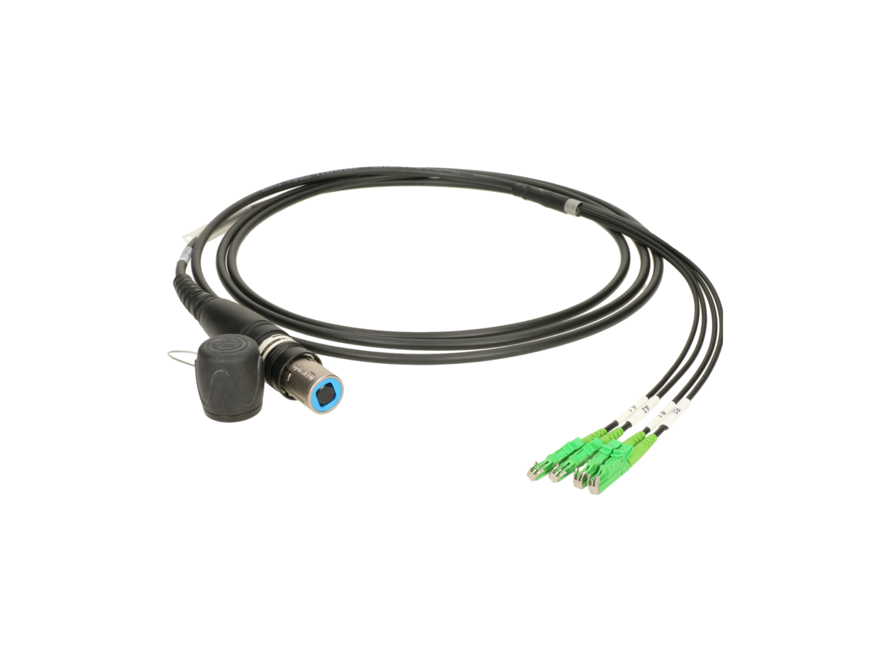 Product primary image