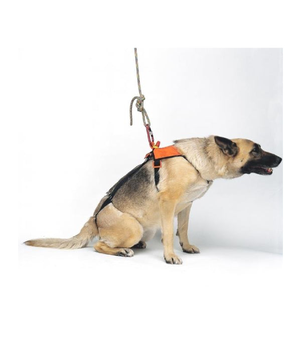 KONG - Hundegurt SMEUS - Kong - Hundegurt - MTN Shop DACH - imagen 4