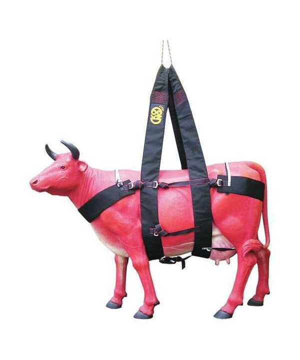 KONG - Kuh- und Pferdetransportgurt WAKA - Kong - Transportgurt - MTN Shop DACH