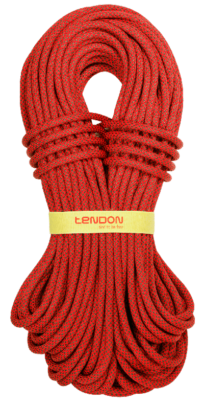 Tendon альпіністська мотузка Ambition 10.0 – – Тепер доступна в MTN Shop DE.