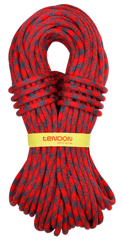 Tendon climbing rope Trust 11.0 – – Тепер доступний у MTN Shop DE. - imagen 2