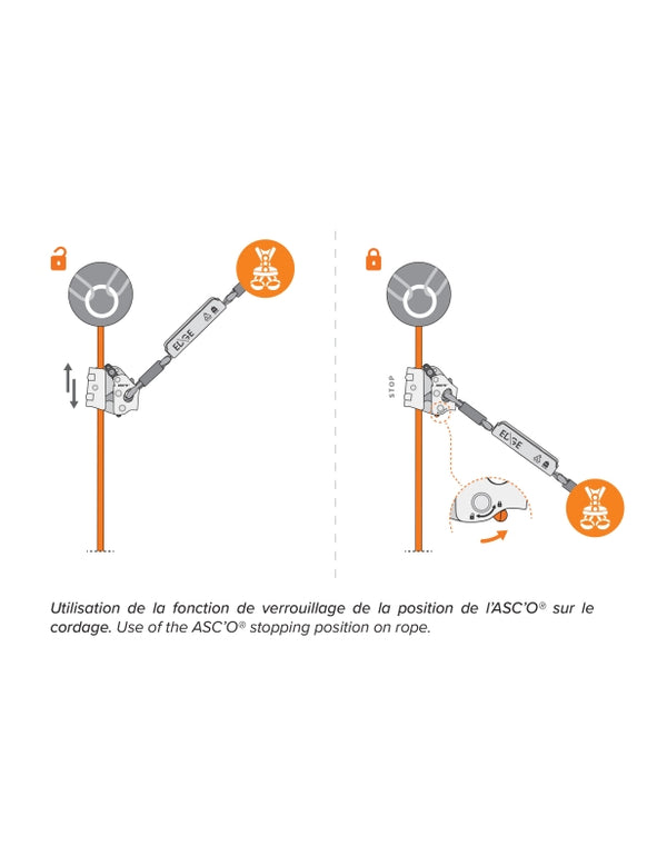 Neofeu ASC'O – – Jetzt erhältlich im MTN Shop DE.