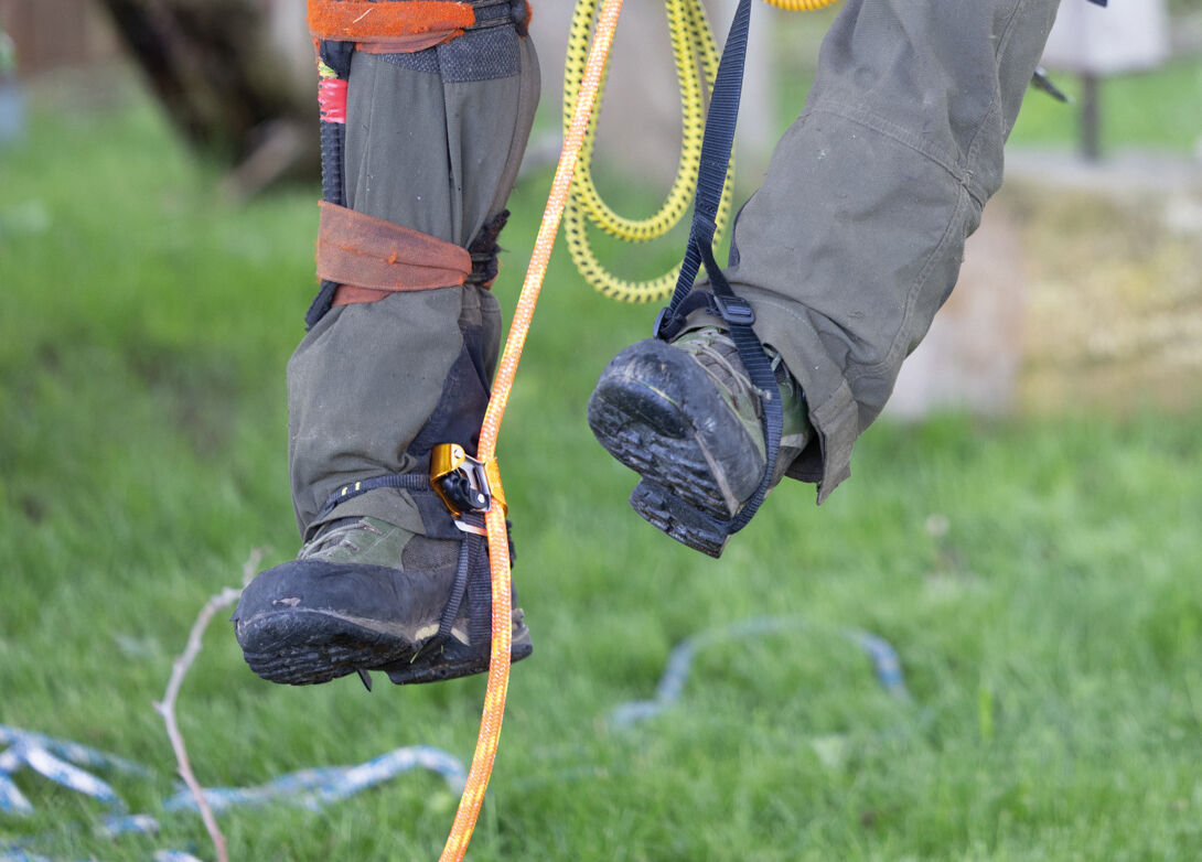 Petzl PANTIN CLICK, Sicherheitssperre verhindert ein Aushängen des Geräts während des Aufstiegs. - imagen 6