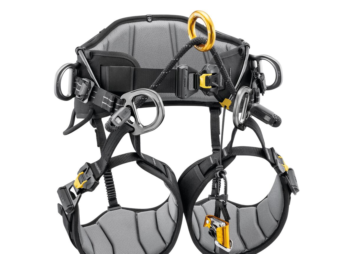 Petzl Set KNEE ASCENT am Hüftgurt des Baumpflegegurts angebracht, erleichtert den Aufstieg in den Baum. - imagen 3