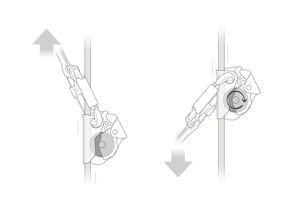 Petzl ASAP bewegt sich frei am Seil, ohne manuelle Bedienung. - imagen 4