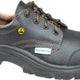 Lemaitre Eco-Bestix low cap S3 ESD