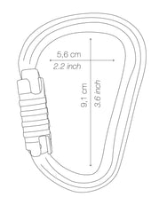 Petzl WILLIAM – Leichtgewichtiger, großer asymmetrischer Karabiner aus Aluminium mit Keylock-System und verschiedenen Verriegelungssystemen, ideal für das Verbinden mehrerer Elemente in der Höhenarbeit.