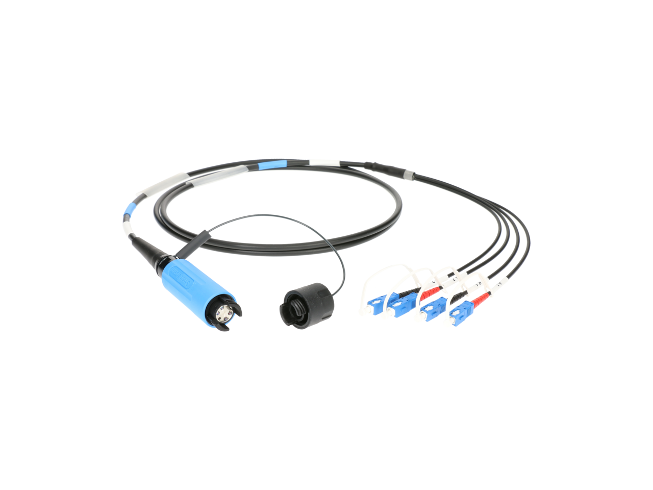 Product primary image