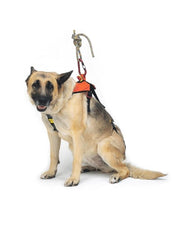 KONG - Hundegurt SMEUS - Kong - Hundegurt - MTN Shop DACH - imagen 2