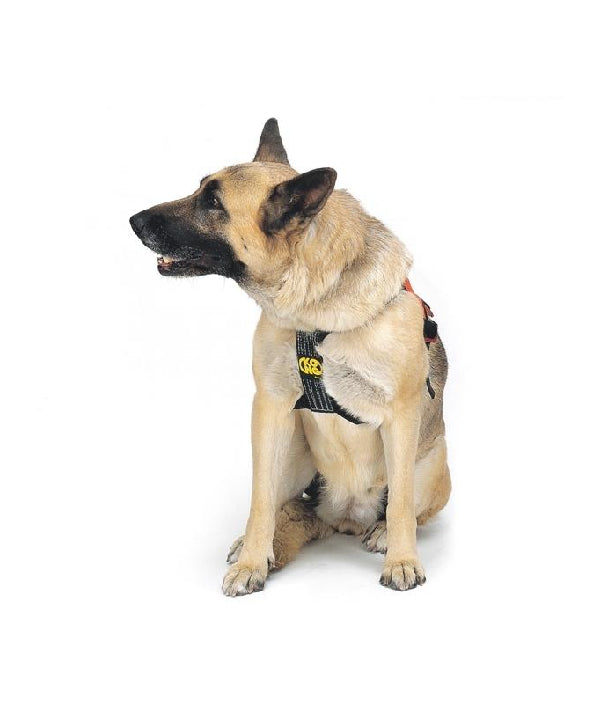 KONG - Hundegurt SMEUS - Kong - Hundegurt - MTN Shop DACH - imagen 3